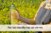 Tác hại của dầu hạt cải với tóc 