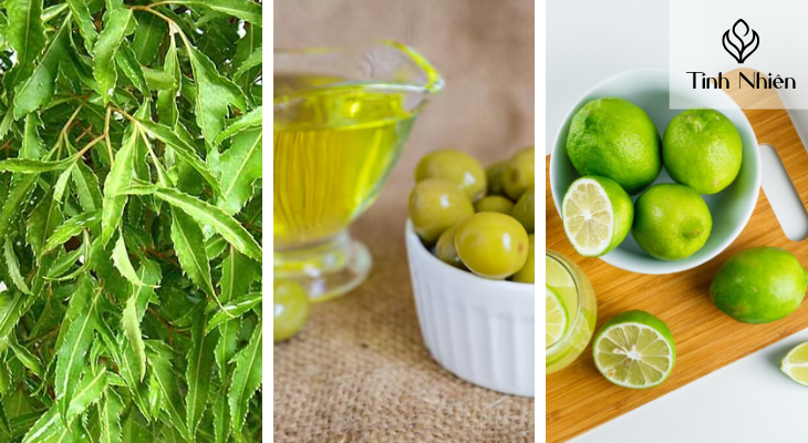 Lá đinh lăng, dầu ô liu và chanh 