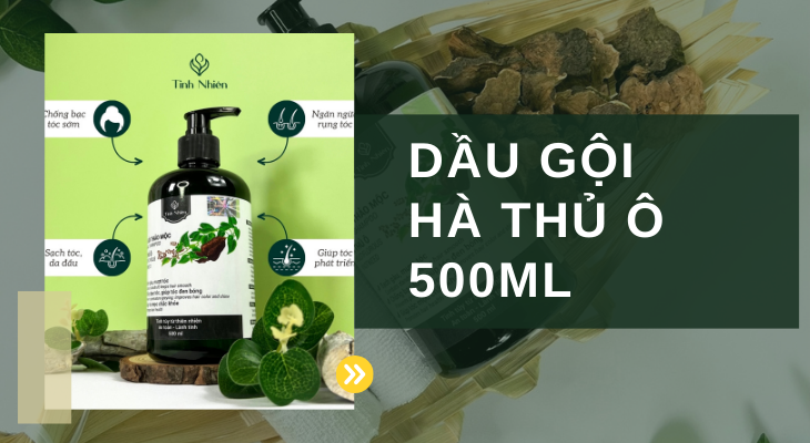 Kết hợp với dầu gội Hà Thủ Ô Tinh Nhiên 500ml