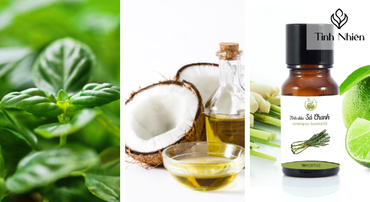 Hương nhu, dầu dừa kết hợp với tinh dầu sả chanh
