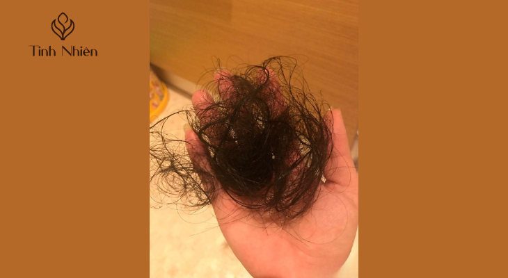 Dầu xả có làm tóc trở nên mỏng hơn không?