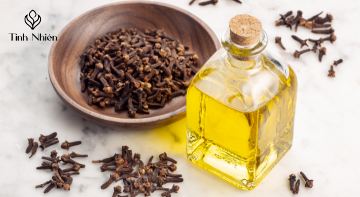 Giới thiệu về đinh hương