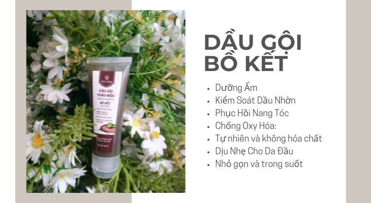 Dầu gội Bồ Kết Tinh Nhiên 50ml kích thích mọc tóc chắc khỏe