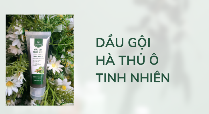 Phục hồi tóc hư tổn với dầu gội Hà Thủ Ô Tinh Nhiên 50ml