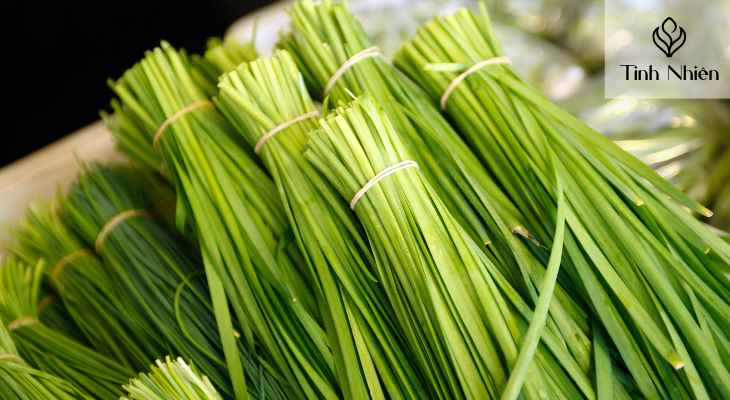 Bảo vệ da đầu