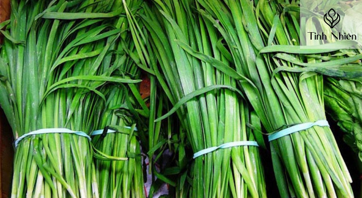 Các lưu ý khi sử dụng rau hẹ