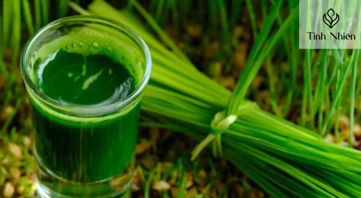 Gội đầu bằng nước lá hẹ