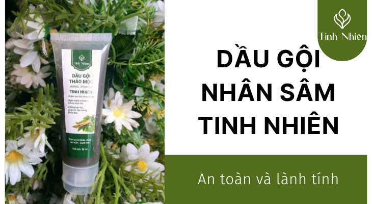 Trị gàu ngứa với dầu gội Nhân Sâm Tinh Nhiên 50ml