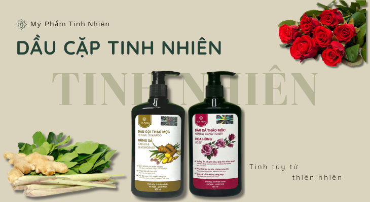Dầu cặp Tinh Nhiên