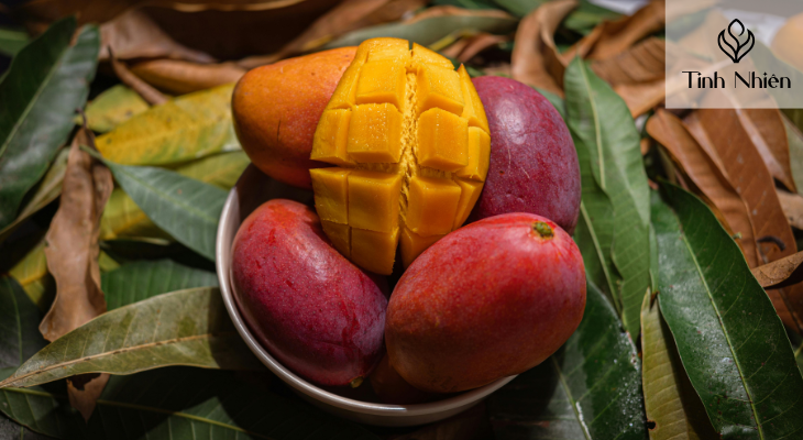 Nuôi dưỡng mái tóc 