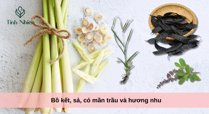 Bồ kết, sả, cỏ mần trầu và hương nhu