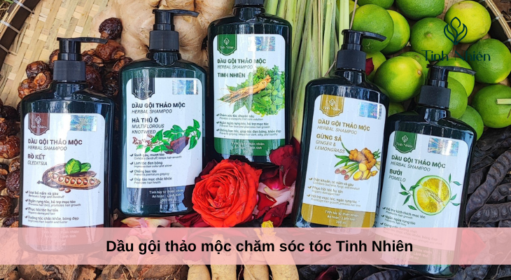 Dầu gội thảo mộc chăm sóc tóc Tinh Nhiên